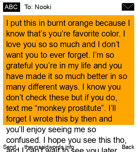 unsent message to Nooki