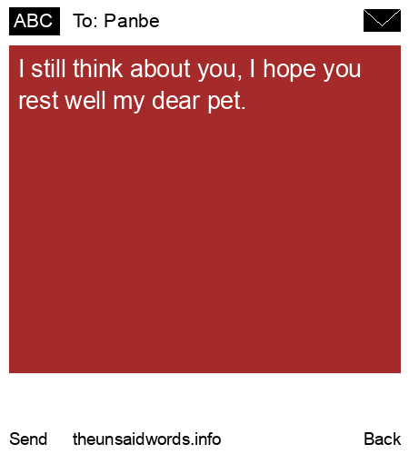 unsent message to Panbe