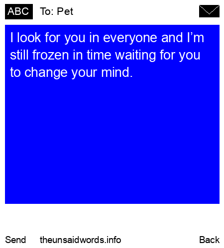 unsent message to Pet