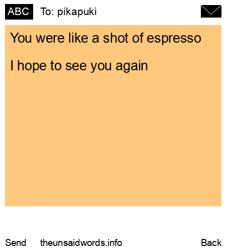 unsent message to pikapuki