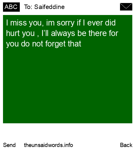 unsent message to Saifeddine 