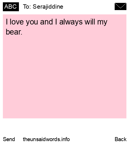 unsent message to Serajiddine