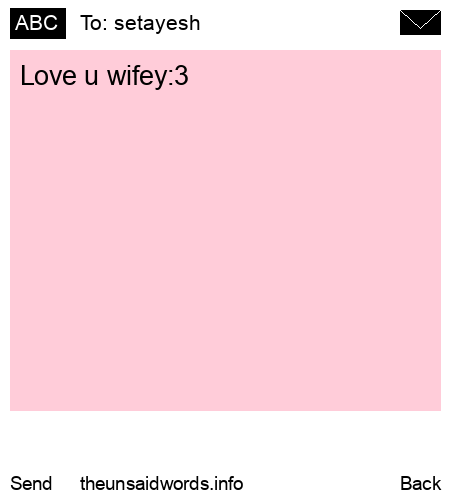 unsent message to setayesh
