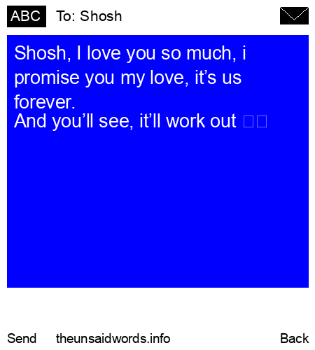 unsent message to Shosh 