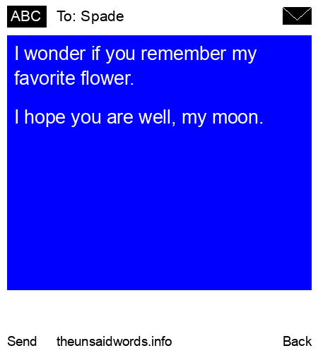 unsent message to Spade