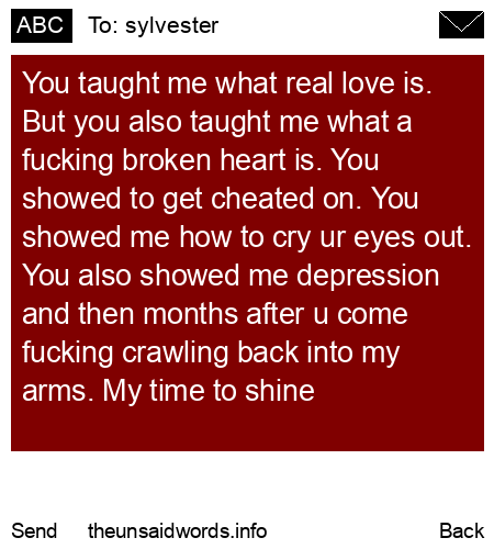 unsent message to sylvester