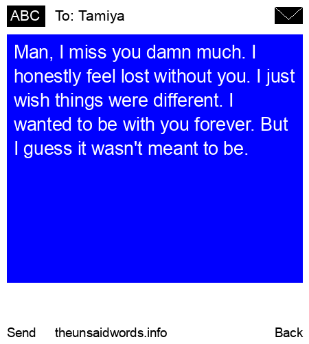 unsent message to Tamiya