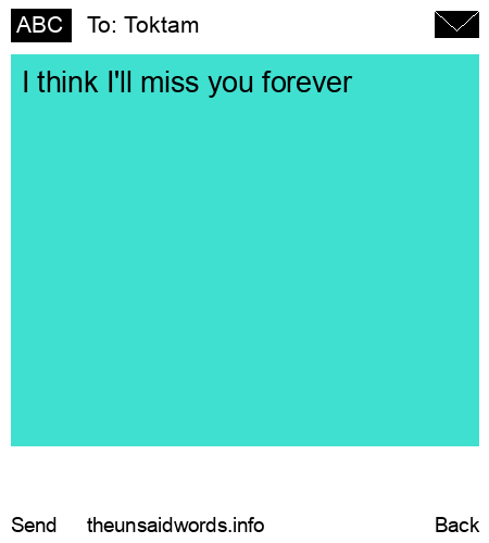 unsent message to Toktam 
