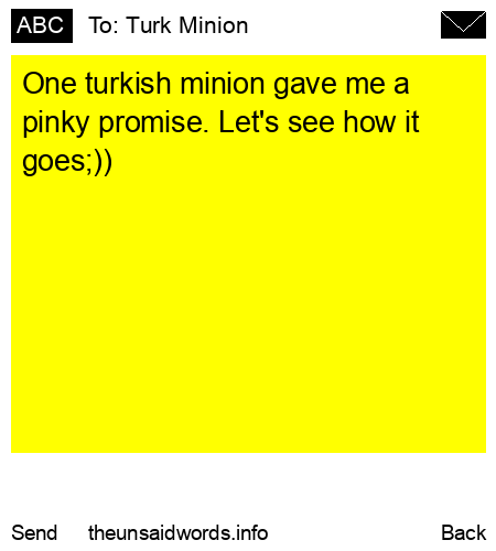 unsent message to Turk Minion