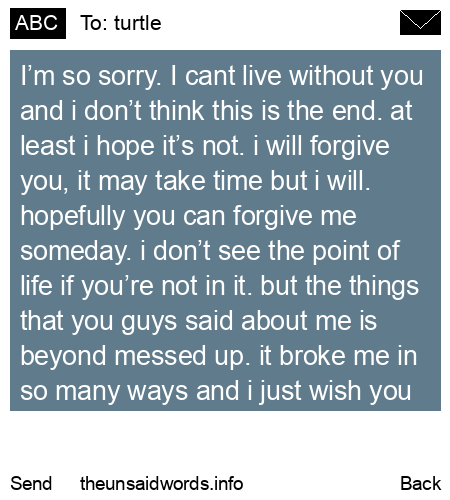 unsent message to turtle
