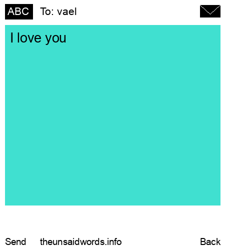 unsent message to vael