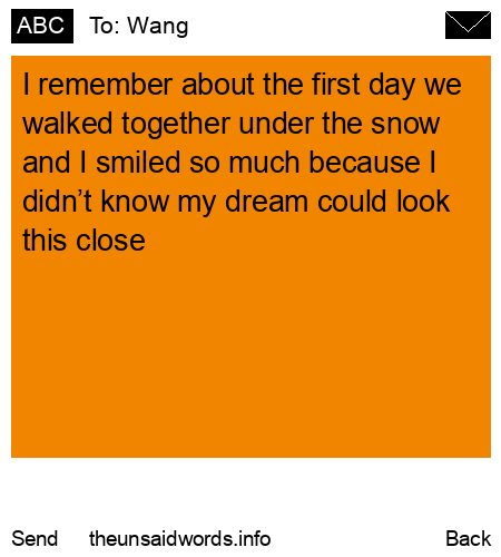 unsent message to Wang