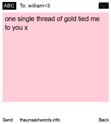 unsent message to william<3